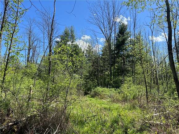 2 Acres of Residential Land for Sale in Enfield, New York