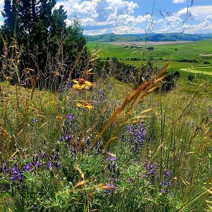 9.81 Acres of Residential Land for Sale in Manhattan, Montana