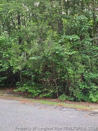 0.17 Acres of Residential Land for Sale in Vass, North Carolina