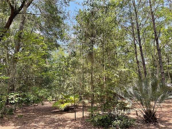 0.5 Acres of Land for Sale in St. Marys, Georgia