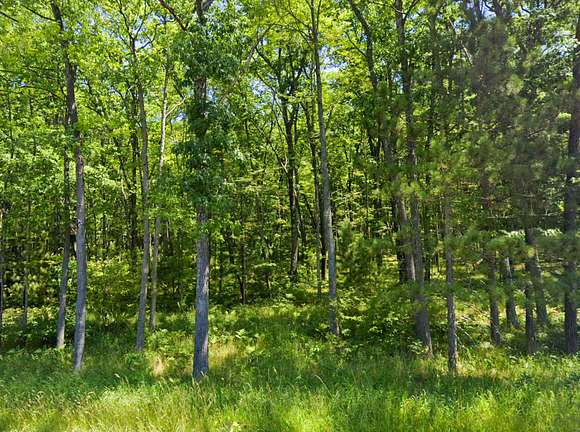 Land for Sale in Baldwin, Michigan