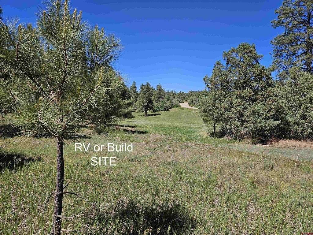 1.17 Acres of Residential Land for Sale in Pagosa Springs, Colorado