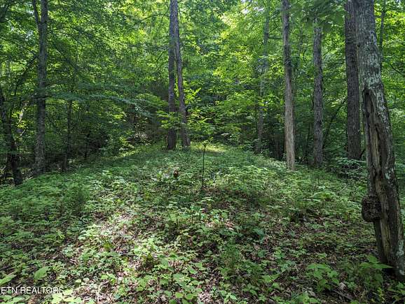 2.6 Acres of Residential Land for Sale in New Tazewell, Tennessee