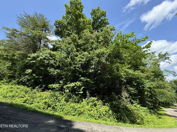 0.8 Acres of Residential Land for Sale in Lenoir City, Tennessee