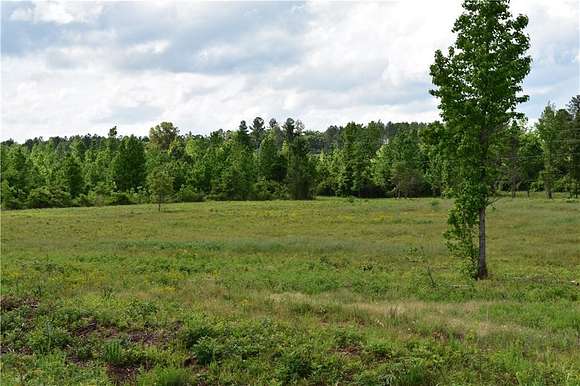 6.6 Acres of Residential Land for Sale in Auburn, Alabama