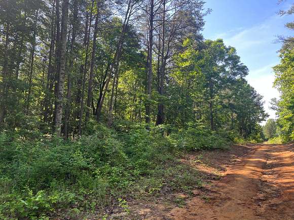 10 Acres of Land for Sale in Nauvoo, Alabama