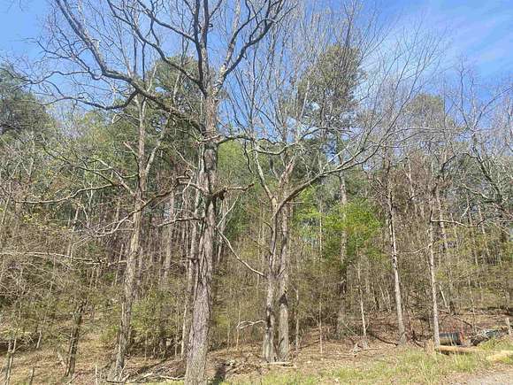 0.5 Acres of Land for Sale in Little Rock, Arkansas