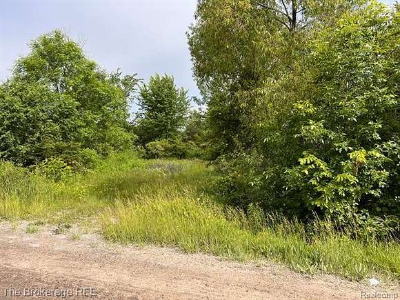 3.2 Acres of Residential Land for Sale in Mount Morris, Michigan