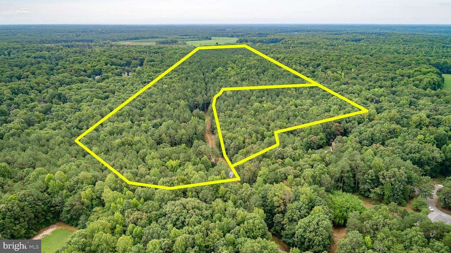 65.18 Acres of Recreational Land & Farm for Sale in Ruther Glen, Virginia