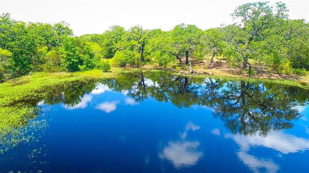 40 Acres of Land for Sale in Eastland, Texas