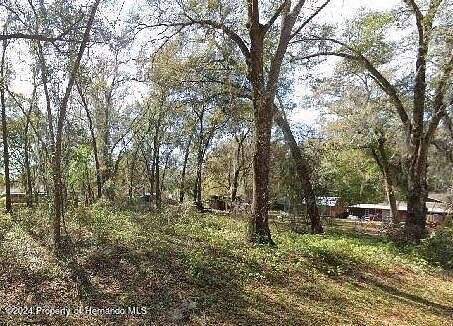 0.24 Acres of Residential Land for Sale in Inverness, Florida