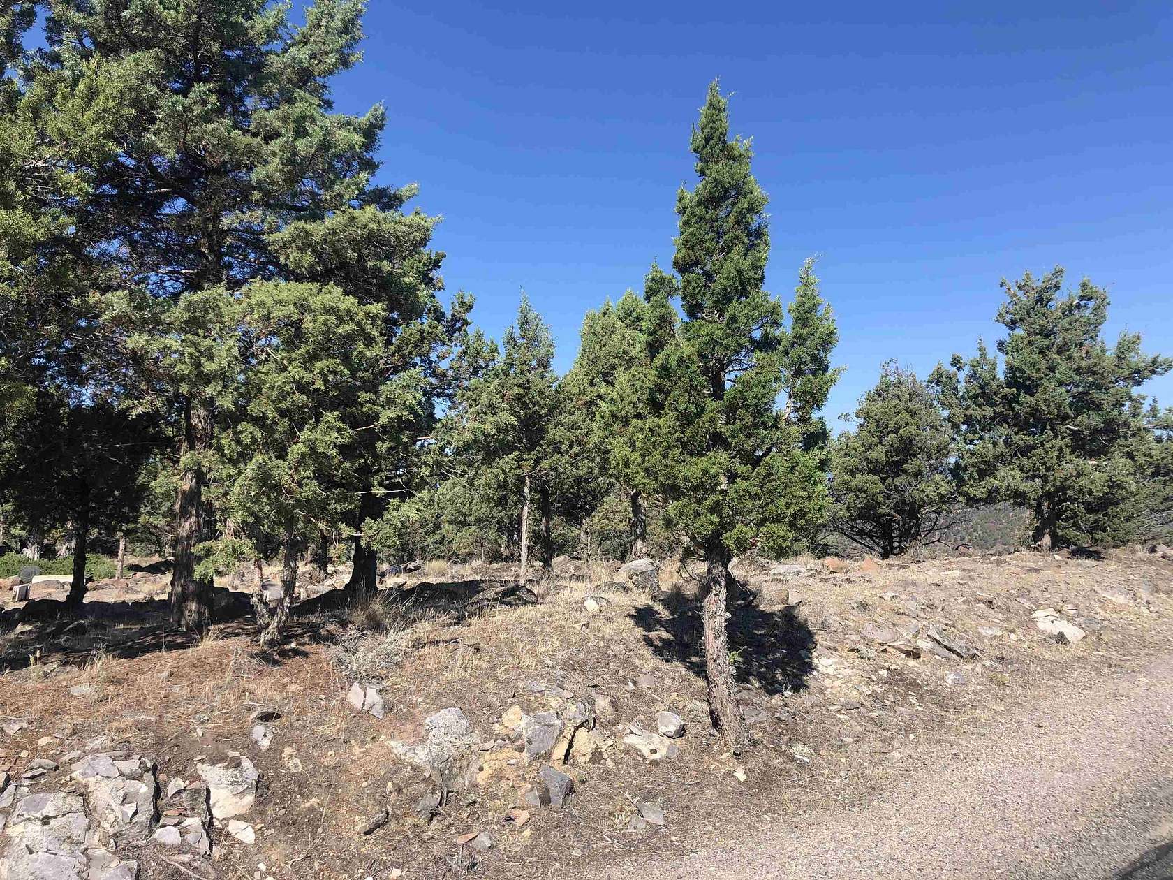 0.3 Acres of Residential Land for Sale in Weed, California