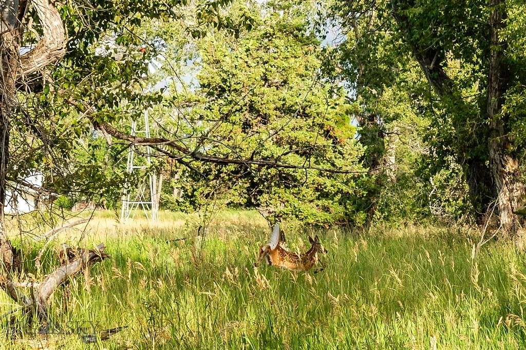 1.2 Acres of Residential Land for Sale in Belgrade, Montana