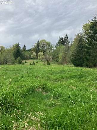 10.69 Acres of Land for Sale in Deer Island, Oregon