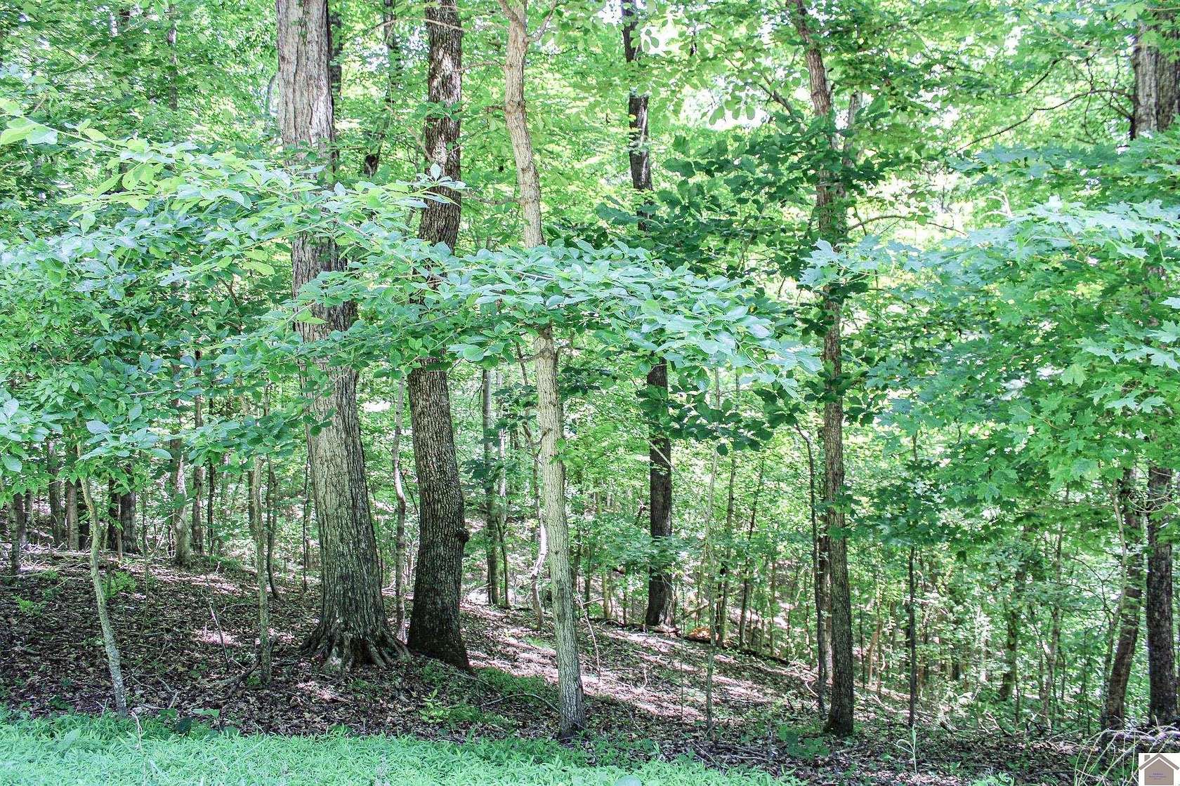 4.46 Acres of Land for Sale in Eddyville, Kentucky