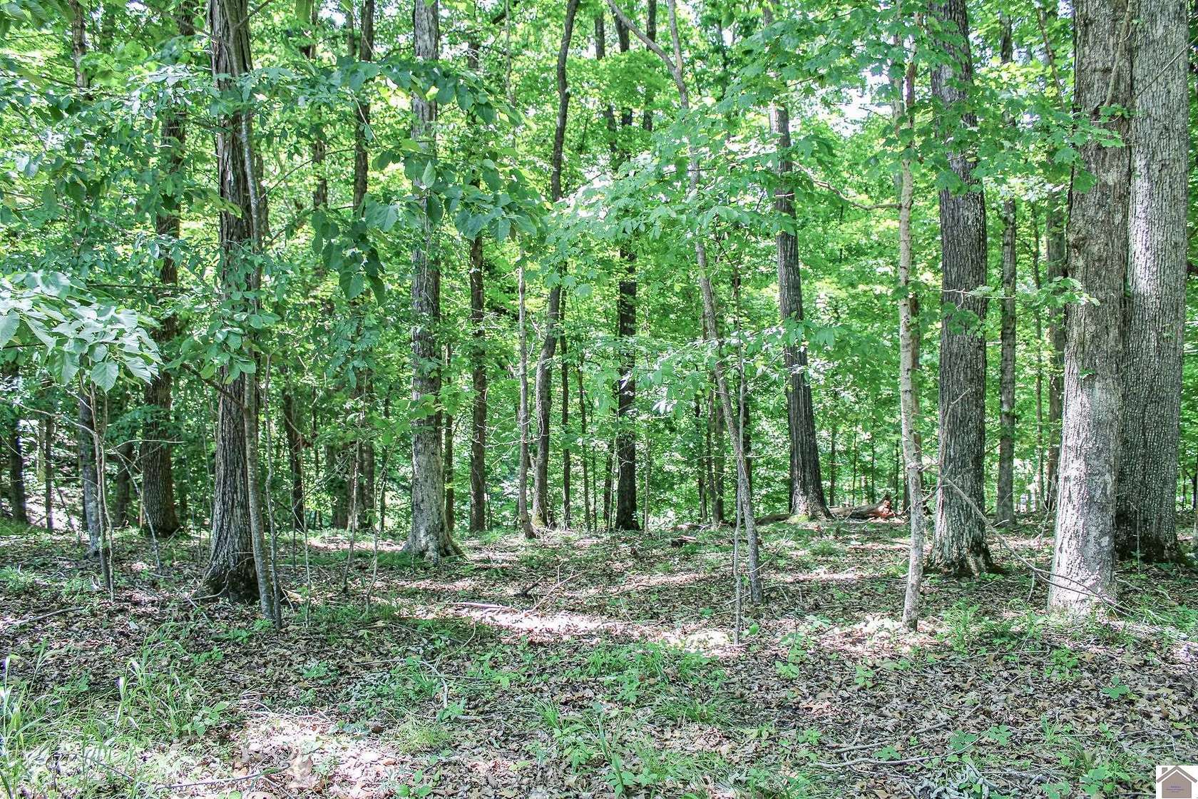 1.9 Acres of Residential Land for Sale in Eddyville, Kentucky