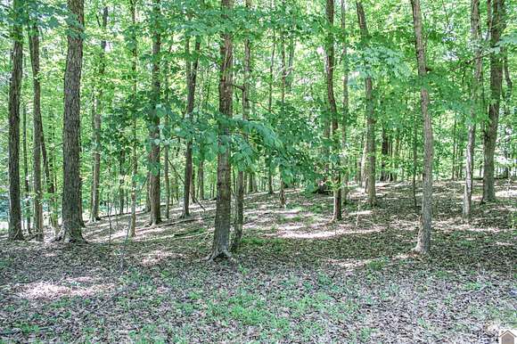 3.6 Acres of Residential Land for Sale in Eddyville, Kentucky