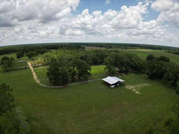 24.5 Acres of Land for Sale in Hartford, Alabama