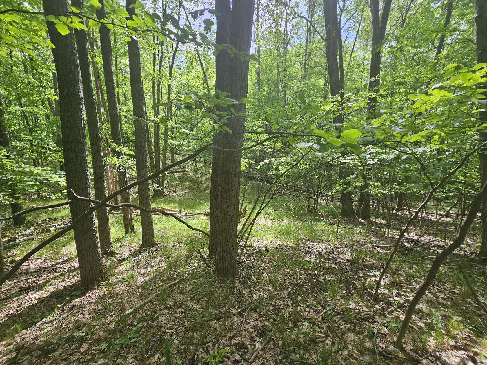 0.35 Acres of Land for Sale in Stanwood, Michigan