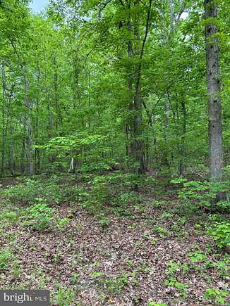 10 Acres of Recreational Land for Sale in Orange, Virginia