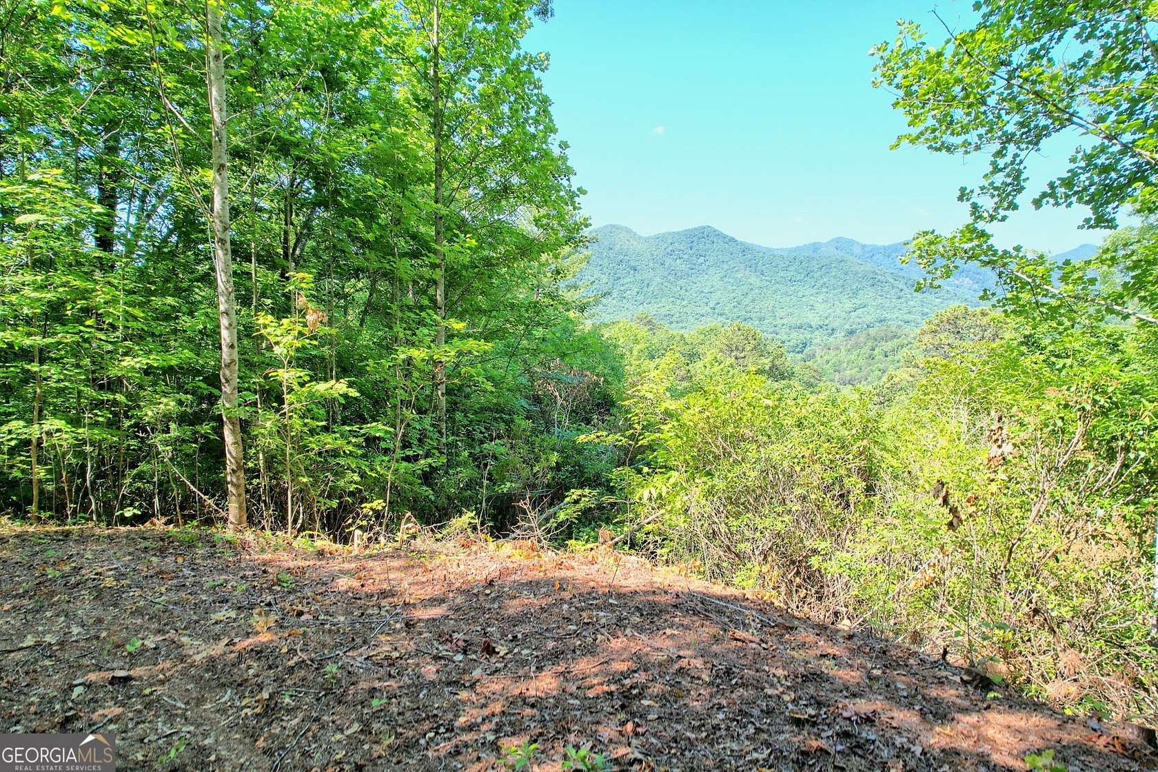 3.56 Acres of Residential Land for Sale in Dillard, Georgia