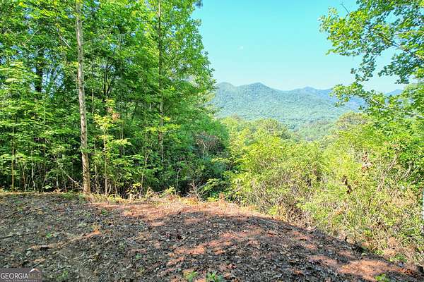 3.56 Acres of Residential Land for Sale in Dillard, Georgia