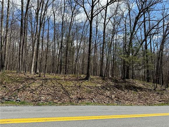 2.1 Acres of Land for Sale in Wallkill Town, New York