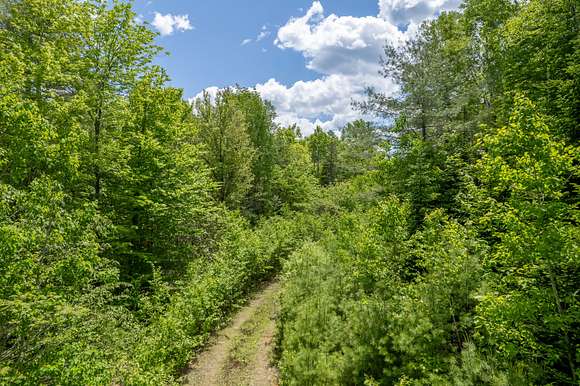 49.3 Acres of Recreational Land for Sale in Brooks, Maine