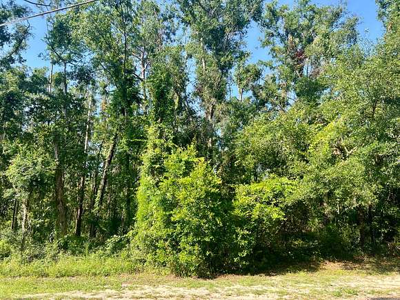 8.17 Acres of Residential Land for Sale in Perry, Florida