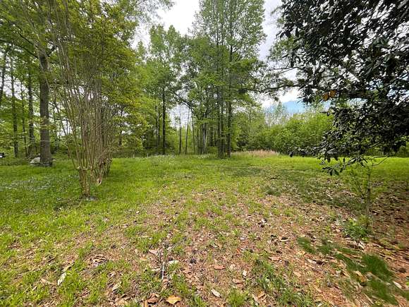 33 Acres of Land for Sale in Nauvoo, Alabama