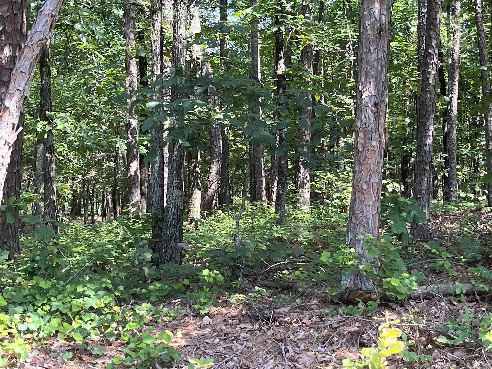 0.49 Acres of Residential Land for Sale in Fairfield Bay, Arkansas