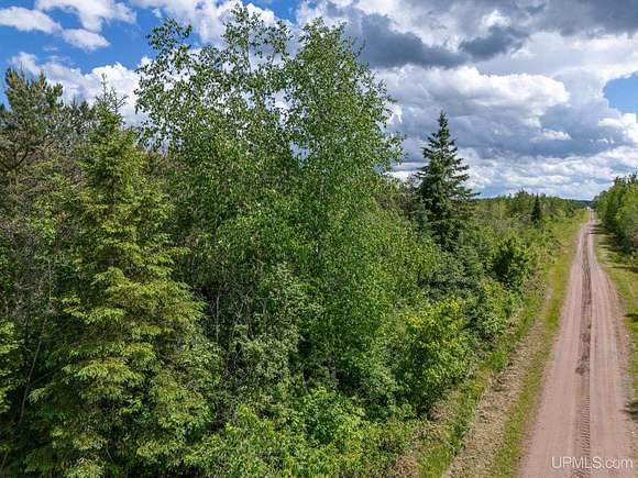 78 Acres of Land for Sale in Bruce Crossing, Michigan