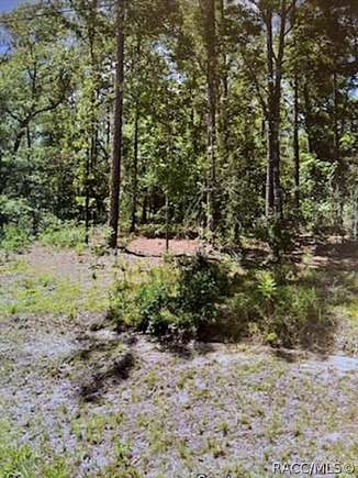 0.22 Acres of Residential Land for Sale in Inverness, Florida