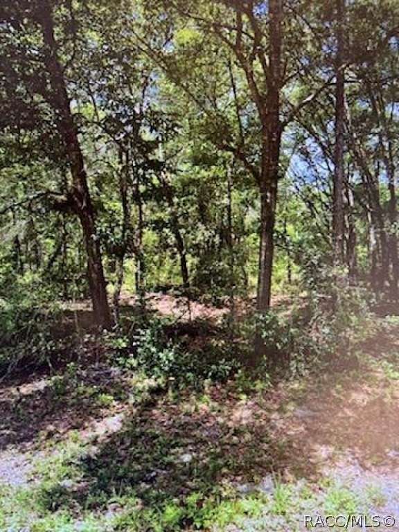 0.22 Acres of Residential Land for Sale in Inverness, Florida