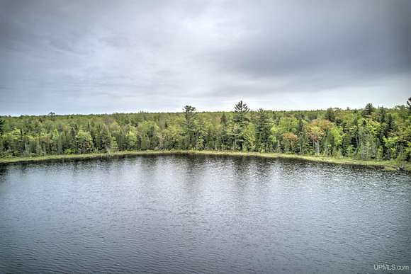 80 Acres of Recreational Land for Sale in Deerton, Michigan