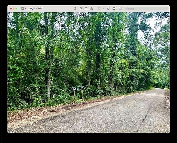 2.521 Acres of Residential Land for Sale in Mount Hermon, Louisiana