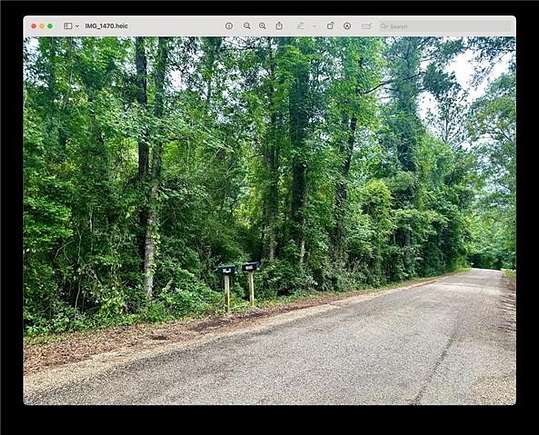 2.5 Acres of Residential Land for Sale in Mount Hermon, Louisiana