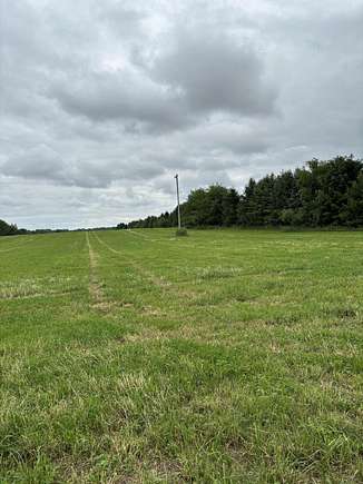 10.7 Acres of Land for Sale in Manchester, Michigan