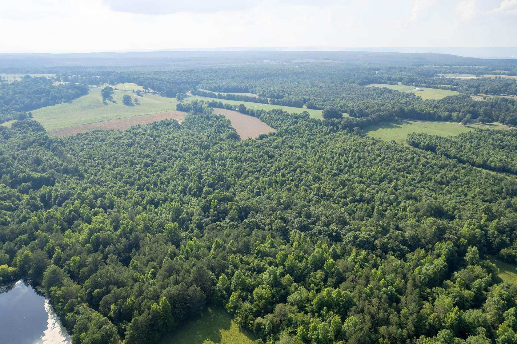 43 Acres of Recreational Land for Sale in Higdon, Alabama