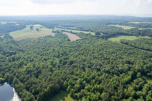 43 Acres of Recreational Land for Sale in Higdon, Alabama