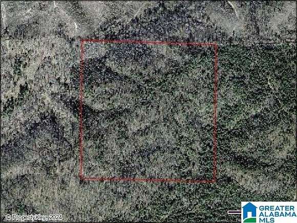 40 Acres of Land for Sale in Pinson, Alabama