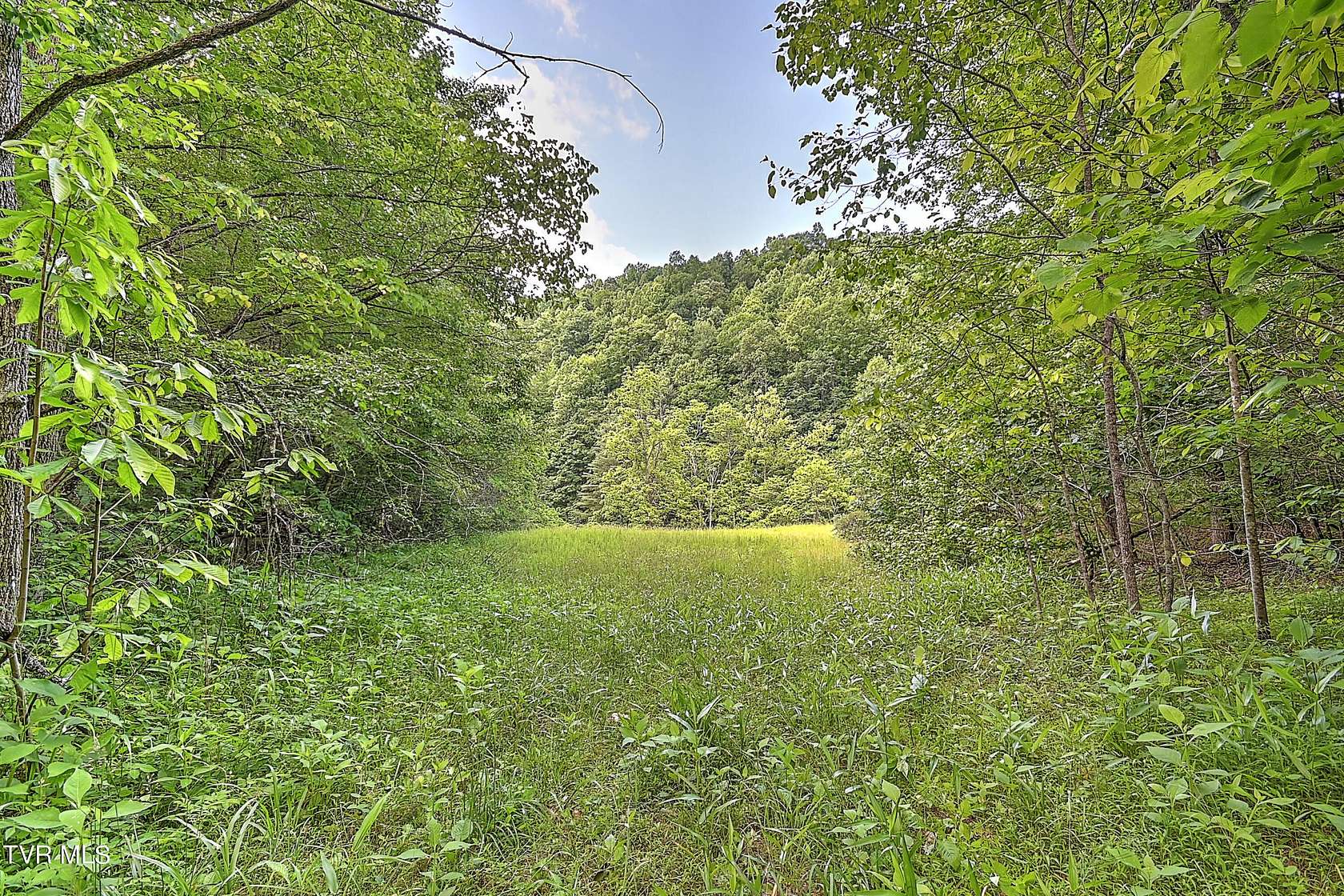 179 Acres of Land for Sale in Duffield, Virginia - LandSearch