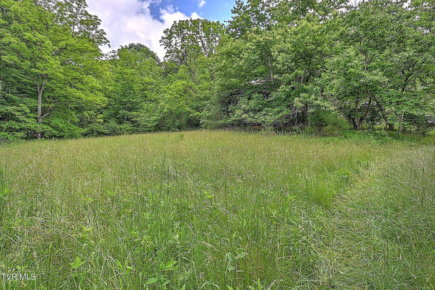 179 Acres of Land for Sale in Duffield, Virginia