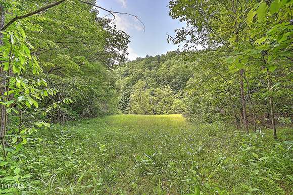 179 Acres of Land for Sale in Duffield, Virginia
