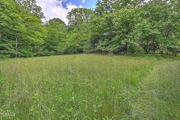 179 Acres of Land for Sale in Duffield, Virginia
