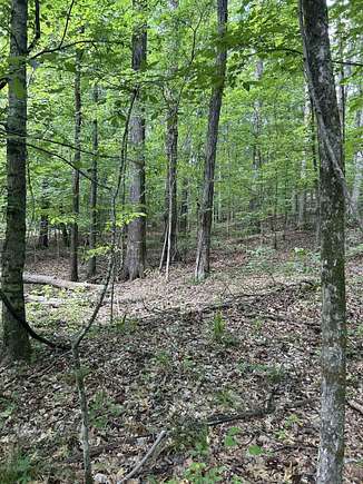 46.7 Acres of Recreational Land for Sale in Colt, Arkansas