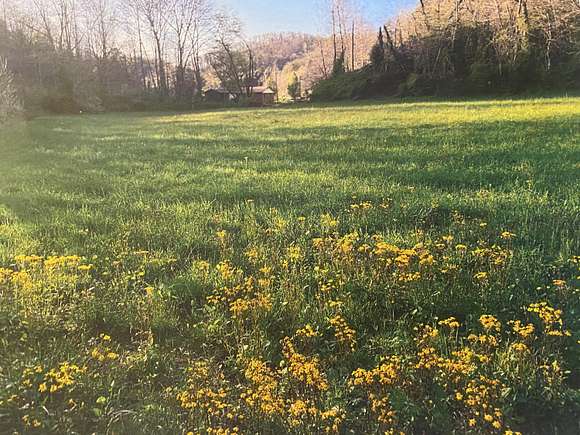 96 Acres of Agricultural Land for Sale in Salyersville, Kentucky