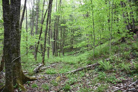 82 Acres of Recreational Land for Sale in Williamstown, Vermont