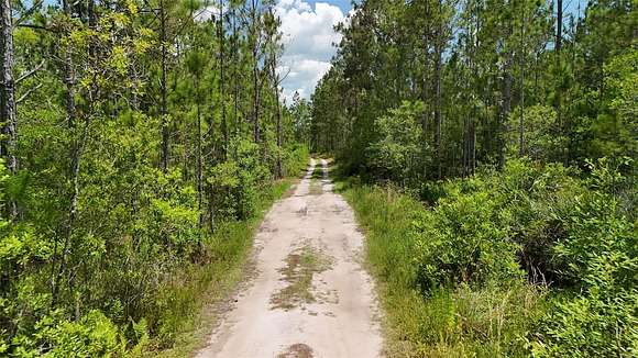 6.25 Acres of Land for Sale in Clermont, Florida