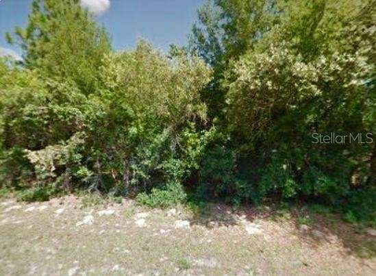 0.29 Acres of Residential Land for Sale in Citrus Springs, Florida